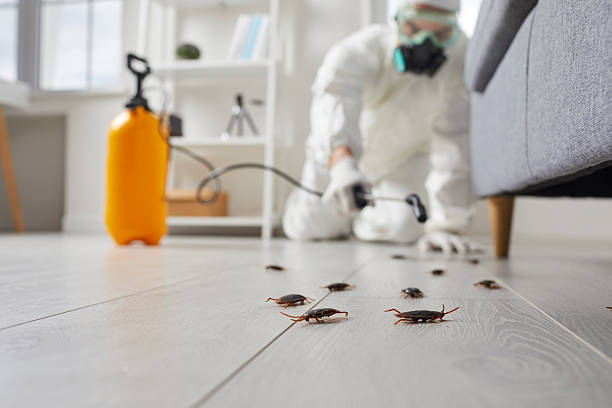 Commercial Kitchen Cockroach Control in Delhi